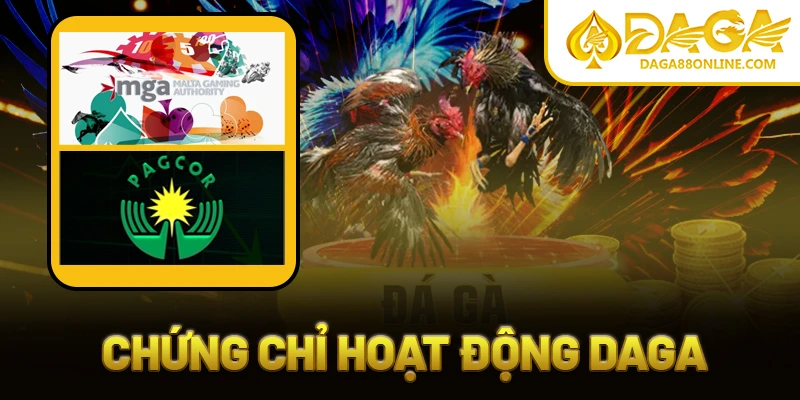 Chứng chỉ hoạt động