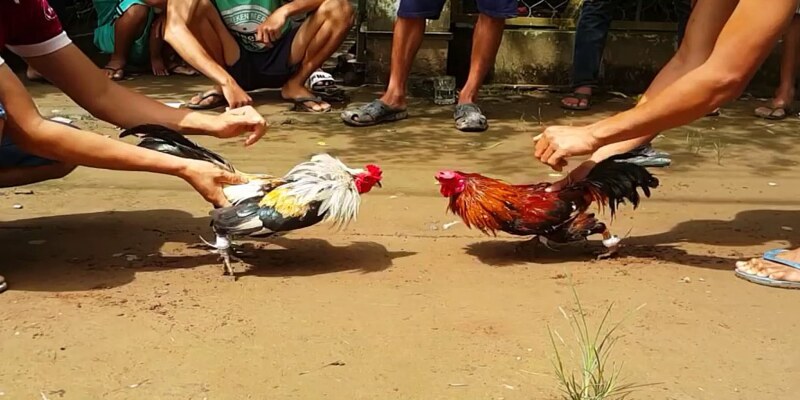 Điểm mạnh của daga truc tiep C3
